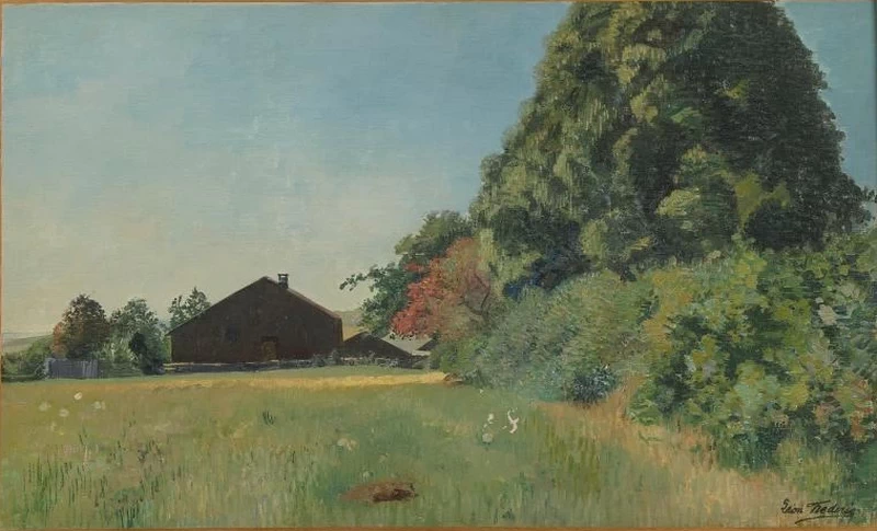 Paesaggio presso la fattoria